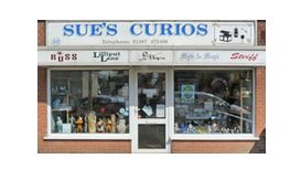 Sues Curios